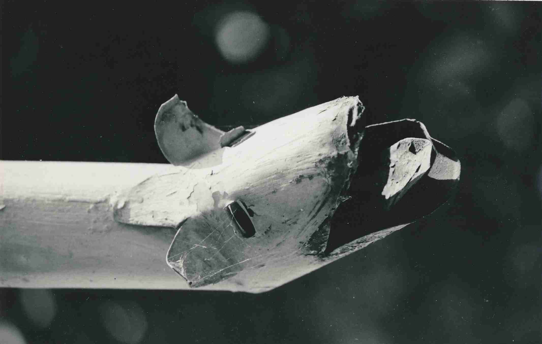 eika image